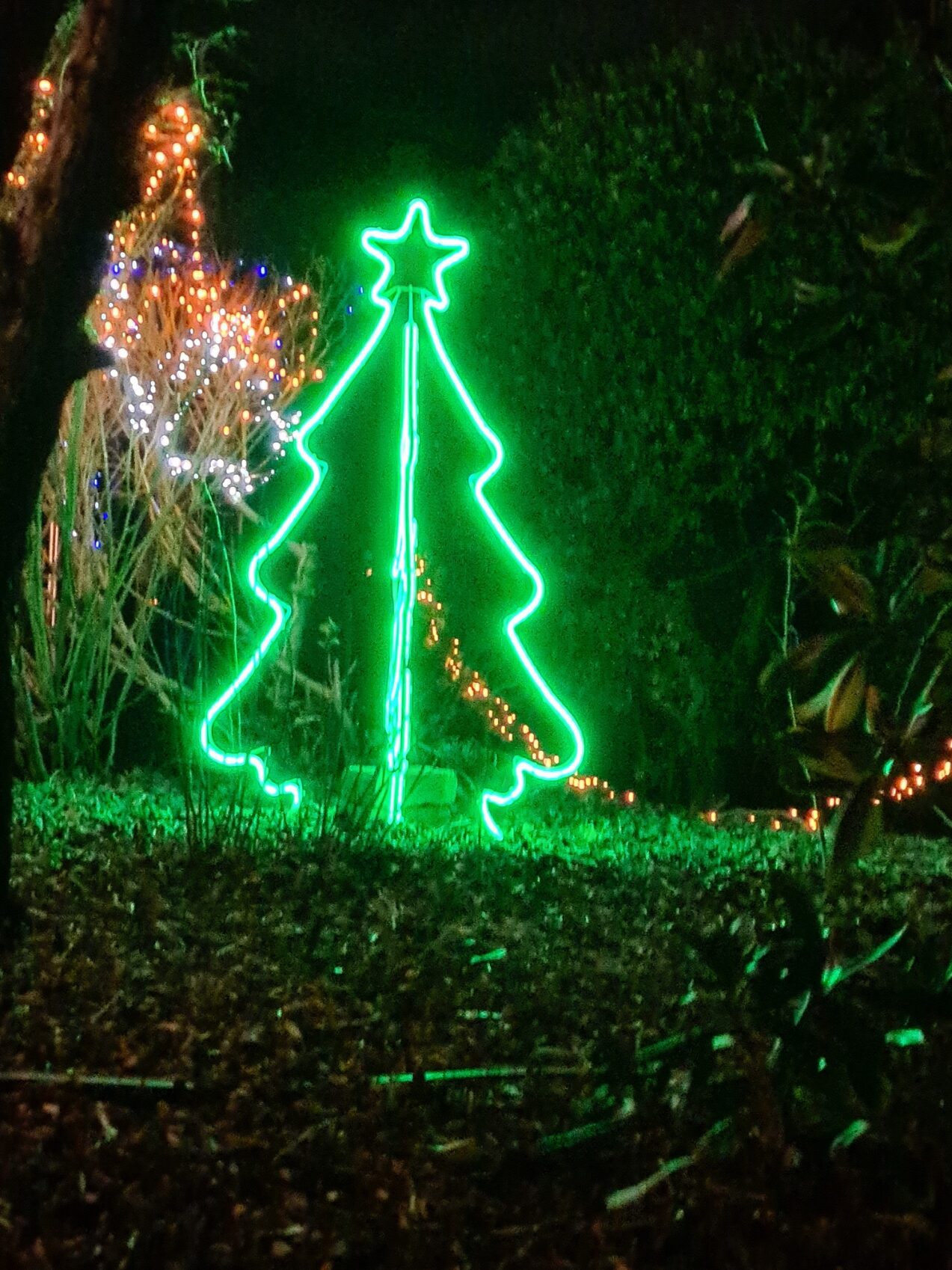 Christmas Lights 2020